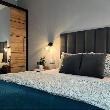 Parkcity Centrum Nova Mikolowska Apartment Katowice