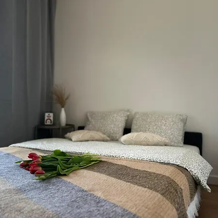 Parkcity Centrum Nova Mikolowska Apartment Katowice