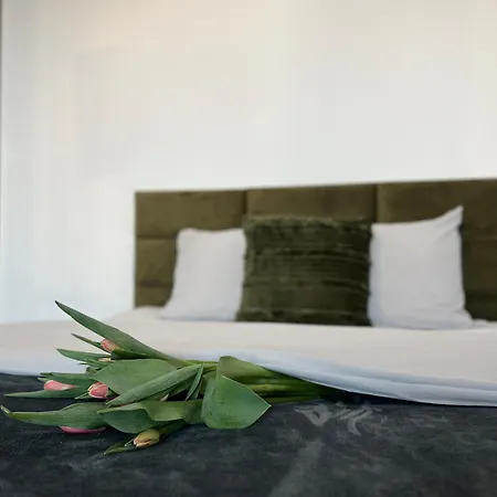 Parkcity Centrum Nova Mikolowska Apartment