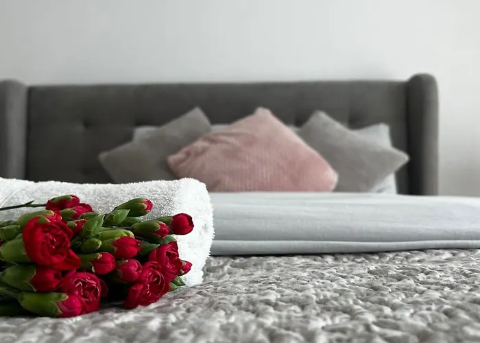 Parkcity Centrum Nova Mikolowska Katowice